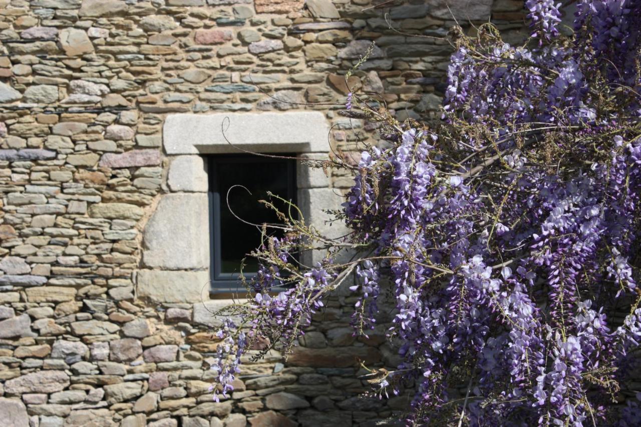 Bed and Breakfast Domaine De La Prevostais Pleucadeuc Exterior foto